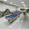 Fabricantes vendem máquina de descascar pés de frango com pele amarela, máquina de descascar pés de frango com pele amarela, equipamento de descascar pés de frango com cilindro