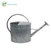 Balanza galvanizada de 9L ducha riego de jardín regadera galvanizada cabezal de riego extraíble regadera de jardín regadera metálica