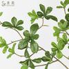 Planta verde de simulación de alta gama, hoja de Elemene de una sola rama, reloj colgante, hoja de Ma borracho, decoración del hogar, flores falsas, accesorios de fotografía, paisajismo