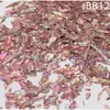 Laca nacarada, finas peças de madrepérola, arte para unhas, pintura em laca, peças de madrepérola, materiais DIY, laca incrustada, papel nacarado