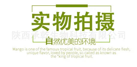 微信图片_20200427143215