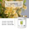 Gardenia Aromaterapia para Coche Fragancia para Coche para Hombre y Mujer Coche de Alta Gama Bálsamo Sólido Ligero Perfume Desodorizante de Aire