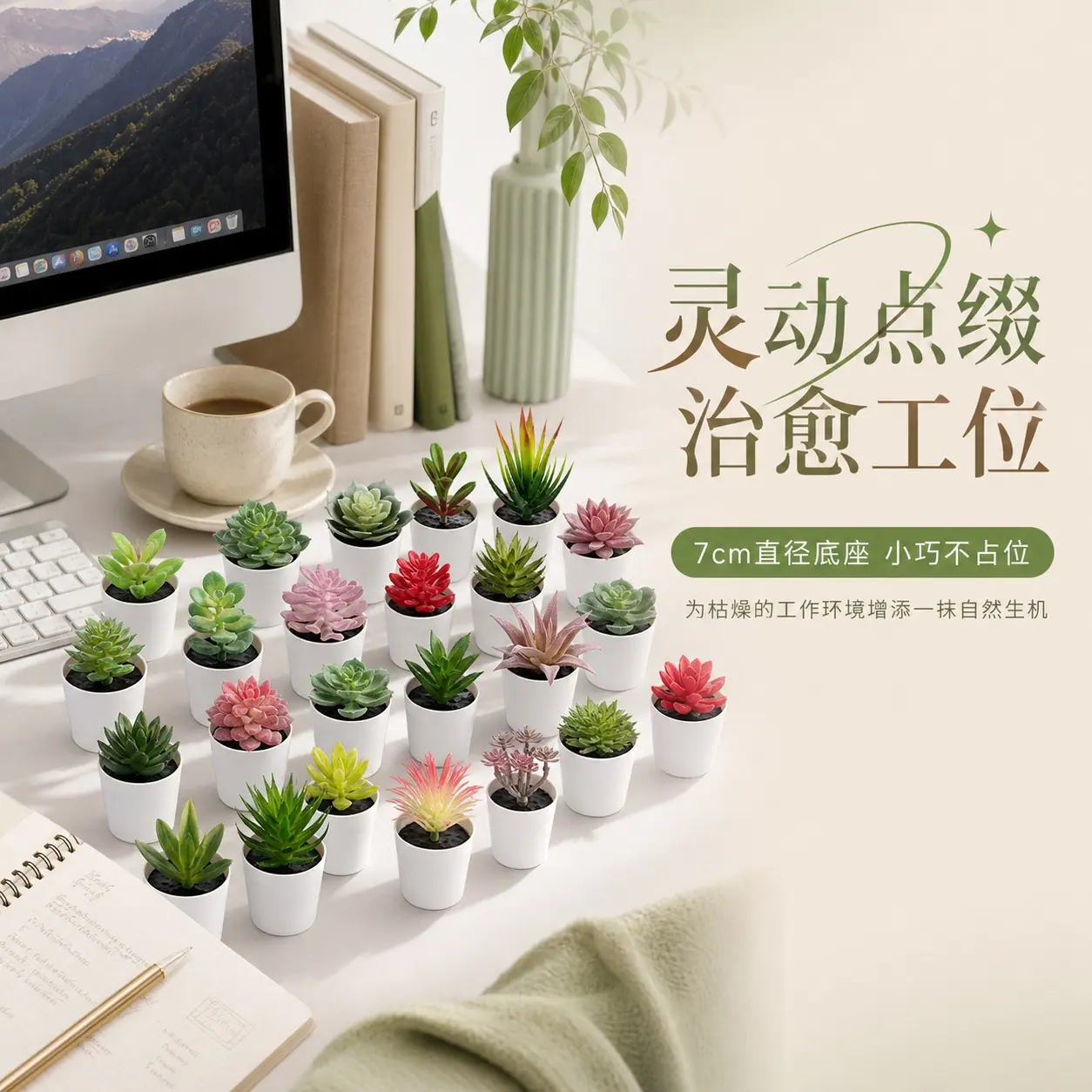 1301多肉详情页 (6).jpg