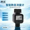 Medidor de flujo de agua digital inteligente de 6 puntos, sensor de medición de agua de alta precisión para riego de jardines y grifos de RV