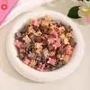 Mini Pinzas para el Cabello Arcoíris Hyuna, Pinzas de Garra Coloridas para Niños, Pinzas de Dulce Frijol de Conejo, Accesorios para el Cabello de Mariposa para Bebé
