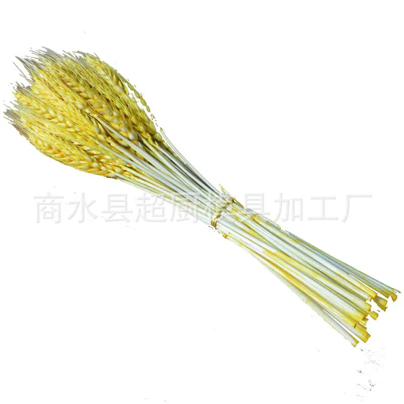 麦穗白