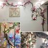 Vid de árbol, vid seca, vid roja de montaña, pipa, vid de montaña profunda, vid de hoja de uva, rama de vid vieja, planta falsa seca, decoración de boda