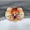 Impressão 3D Phalaenopsis Film Butterfly Handmade Fake Flower Hairpin Acessórios de cabelo DIY Headwear Duckbill Clip Side Clip