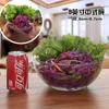 Lizun Tazón de Vidrio Transparente para Ensalada de Verduras suit Individual Estilo Japonés Vidrio sin Plomo Tazón para Sopa Doméstico Tazón para Frutas Venta al por Mayor