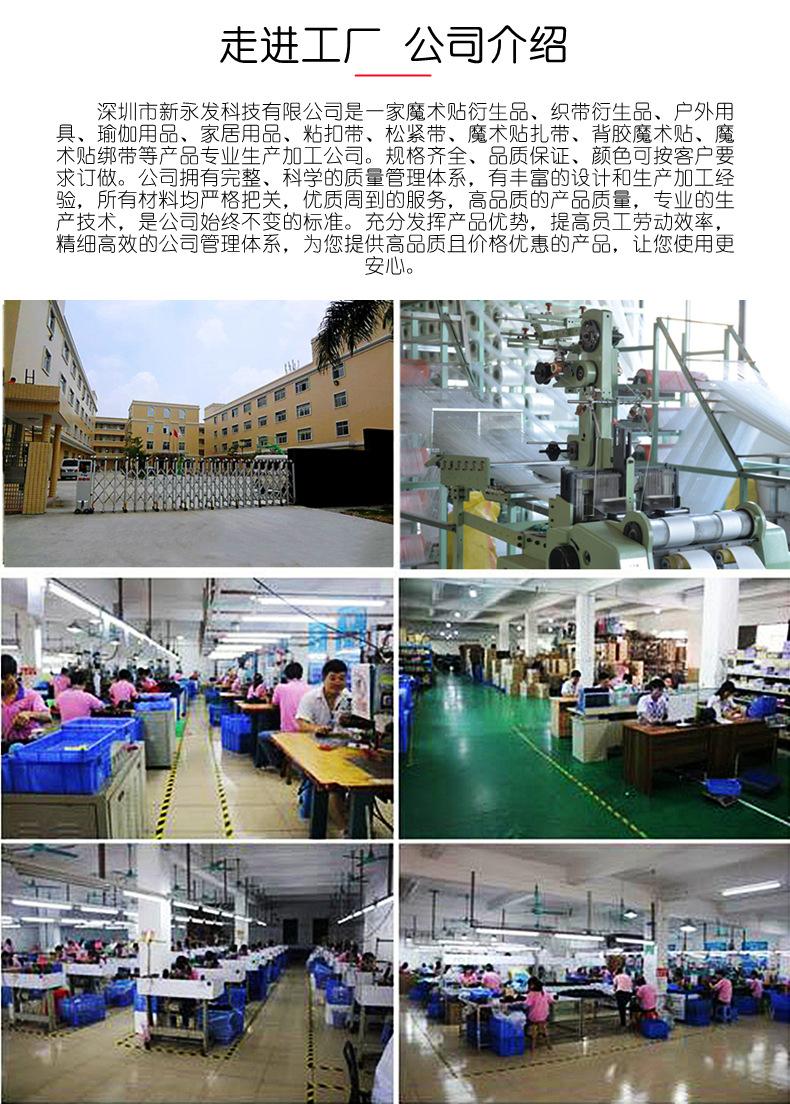 公司介绍