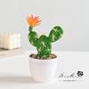 Maceta de Plástico con Flor Falsa, Suculenta Artificial Cactus Tropical Bonsái, Pequeños Adornos Creativos, Suministro Directo de Fábrica de Plantas Verdes