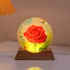 Luz de Noche de Cristal de Luna Adorno Luminoso Lámpara Creativa de Conejo Decoración de Escritorio de Dormitorio Luz Ambiental Regalo de Vacaciones