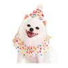 Novo Conjunto de Lenço Saliva Pet Bolinhas Transfronteiriço com Chapéu de Aniversário Cor de Doce Cachecol para Gato e Cachorro