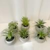 Decoración interior del hogar simulación suculenta pequeña planta en maceta diseño de escritorio planta adornos en maceta suculenta falsa planta verde mayoreo