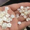 Concha Flor Vendas Diretas de Fábrica Ferradura Cinco Pétalas Escultura DIY Antigo 10mm