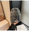 Bolsa de Lã Transfronteiriça Feminina Outono e Inverno 2024 Nova Casual Nicho Bolsa Mensageiro Popular Este Ano Explosões Bolsa Saco