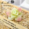 012 Série Branca Flocada Suculentas Suprimentos Criativos DIY Acessórios Flores de Plástico Dropshipping Flores Artificiais