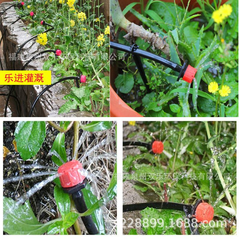 7小红帽浇水效果.jpg