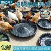 Comedouro Espessado Automático, Novo Modelo para Frangos de Criação Solta, Comedouro para Frango, Pato e Ganso, Comedouro para Frangos, Bebedouro