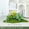Plantas Verdes Simuladas Musgo Plantas de Paisagismo Interno Pequena Paisagem Combinação Musgo Verde Ornamentos Debaixo das Escadas Arranjo de Flores Artificiais Biônicas