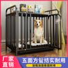 Gaiola para cães Grande Gaiola para cães de grandes dimensões com sanitário Cão médio Cão pequeno Gaiola para cães de tubo quadrado Gaiola para cães Bold Pet