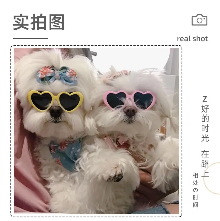 宠物塑料眼镜1_09.png
