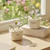 Adorno de artesanía en vidrio de Zibo, flor de nacimiento de diciembre, planta verde floral de vidrio artificial, decoración de escritorio, regalo creativo