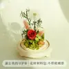 Ornamento de Cúpula de Vidro com Flor Preservada para Sala de Estar, Caixa de Presente com Rosa de Flor Seca, Dia dos Namorados, Casamento, Presente para o Festival Qixi, Presente Feito à Mão