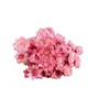 Flor Estrella Brasileña Flor Inmortal Flor Real Flor Seca Ramo Caja de Regalo Decorativa con Accesorios de Fotografía de Flores Material para Manualidades