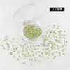 Popular Arte de Unha para Ano Novo Strass Pontiagudos Dourados Acessórios DIY Decorações de Unha Coloridas em Formato Oval