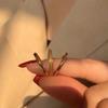 Anillo de Acero de Titanio Liso Sansheng Sansheng Dorado Simple Versátil Acero de Titanio Sin Decoloración Anillo de Pareja Gama Alta Mujer