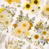 Flores secas, flores prensadas, flores prensadas DIY, espécimes de flores reais, folhas reais prensadas, marcadores de página de resina, materiais de espécimes de plantas de flores reais