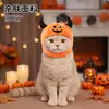 Atacado em estoque Chifre de diabo de Halloween Chapéu de cabeça de abóbora para animal de estimação Chapéu de pelúcia em formato de abóbora engraçado Fornecimento