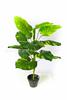 Simulación de comercio exterior taro verde simulación taro de hadas bonsái planta de simulación Guanyin goteante adornos decorativos en maceta venta al por mayor
