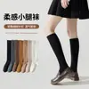 Calcetines de pantorrilla de color liso estilo universitario para mujer, perfectos para otoño e invierno, estilizan y son versátiles, diseño simple, combinan bien con zapatos pequeños de cuero, calcetines largos de algodón