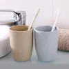 Simples Moda Família Gargle Copo Copo Simples Escova de Plástico Copo Casal Escova de Dentes