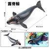 Simulação Tubarão Modelo de Animal Marinho Grande Tubarão Branco Megalodon Tubarão Tigre Baleia Azul Polvo Polvo Lagosta Brinquedo