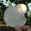 2026 Pera Qiuyue Auténtica de Laiyang, Shandong para Mujeres Embarazadas, Frutas Grandes Frescas, Recién Cortadas, Caja Natural Entera de Peras, Maduradas en el Árbol