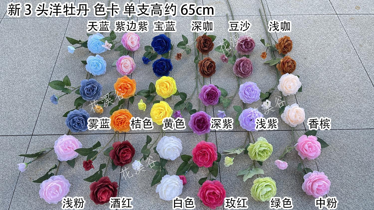 新3头洋牡丹-gjkx 色卡 花溪谷.jpg