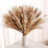 Ramo de flores secas de Yunnan, cola de conejo blanca, hierba pequeña, traje de caña, flores secas, decoración de boda, venta al por mayor de Amazon