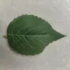 Hojas de Árbol Artificiales Cinta de Satén Hojas de Hortensia Hojas de Girasol Pieza Única Hojas de Girasol Tamaño Pequeño 12.5cm