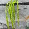 Buquê de Flores Secas com Flores Permanentes, Milhete Vermelho de Seda para Casamento, Borla Pendurada, Material de Flor para Pendurar