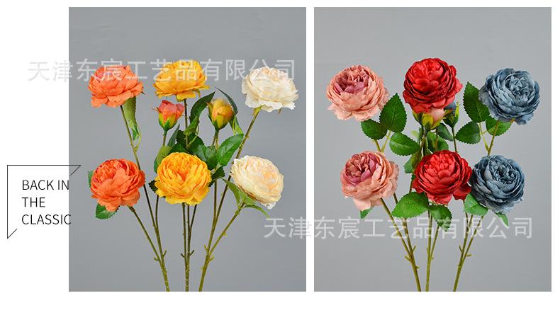 详情_10