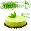 Letrero de Madera para Eventos Letrero de Humo Plato para Frutas Plato Frío Decoración Fiesta Hawaiana Letrero con Borla y Lentejuelas Fruta Desechable Alargada