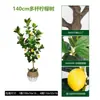 Planta em Vaso Artificial de Limoeiro Transfronteiriço, Grande Planta Artificial Verde para Interior, Árvore Falsa, Ornamento Decorativo de Chão para Sala de Estar