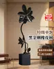 Árbol de Caucho Black Diamond, una Planta de Interior Grande de Alta Gama para la Sala de Estar, con un Toque de Lujo, Adecuada para la Oficina, Fácil de Mantener
