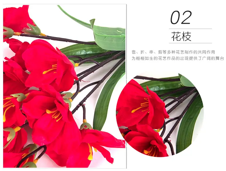 7剑兰小把花_08.jpg