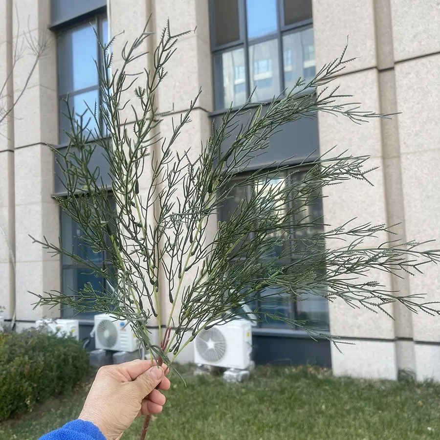5叉把束芦荀草(高约64cm)-深绿 2.5元.JPG