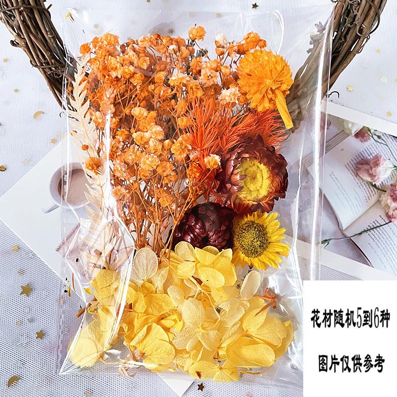 橘色_副本