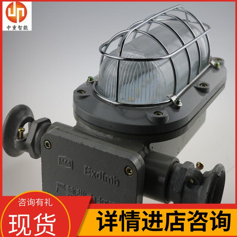矿用本安型LED支架灯07